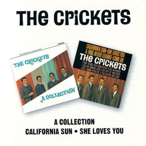 Crickets ,The - 2on1 A Collection California Sun / She Loves You